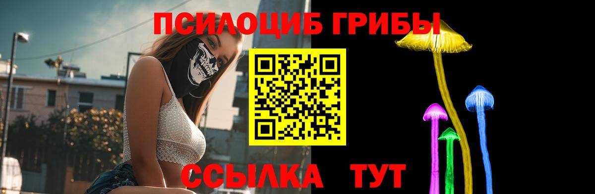 Новозыбков  Псилоцибиновые грибы прущие грибы  Вход с VPN 