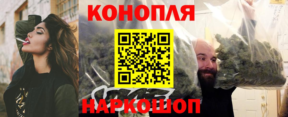 Новозыбков  Шишки марихуана марихуана  Вход с VPN  Конопля конопля  Бошки Шишки White Widow 